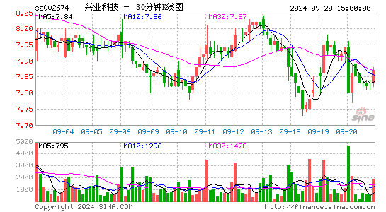 002674兴业科技三十分钟K线