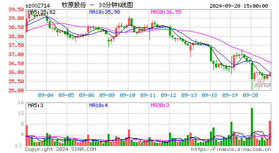 002714牧原股份三十分钟K线