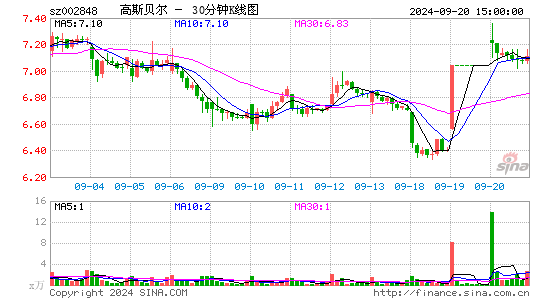 002848高斯贝尔三十分钟K线