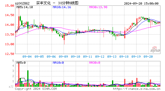 002862实丰文化三十分钟K线