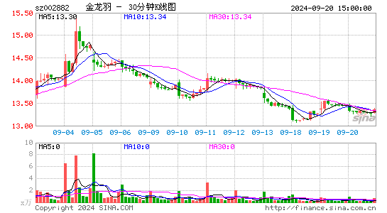 002882金龙羽三十分钟K线