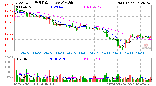 002886沃特股份三十分钟K线