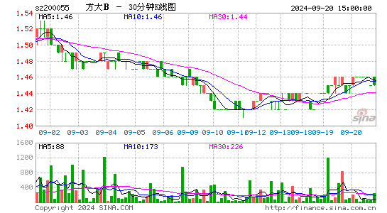 200055方大B三十分钟K线