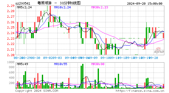 200541粤照明B三十分钟K线