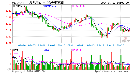 300040九洲集团三十分钟K线