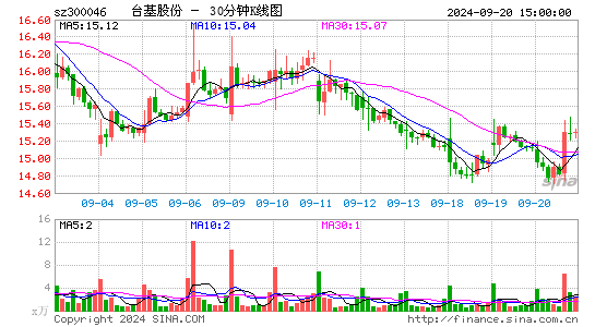 300046台基股份三十分钟K线