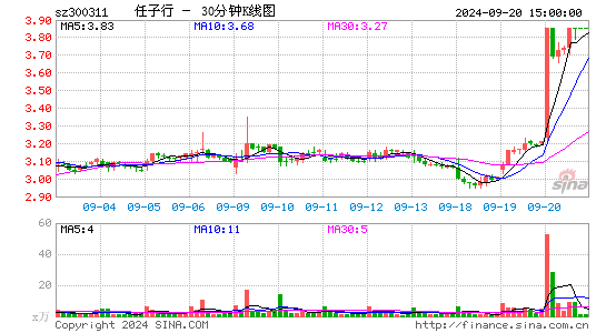 300311任子行三十分钟K线