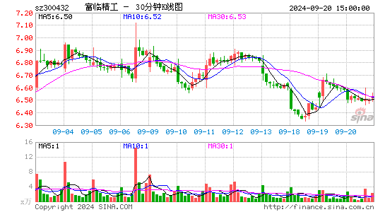300432富临精工三十分钟K线