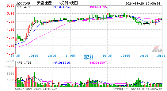 600509天富能源五分K线