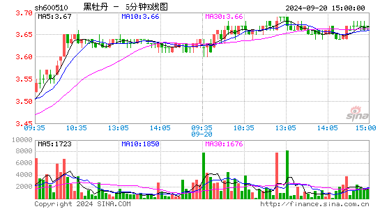 600510黑牡丹五分K线