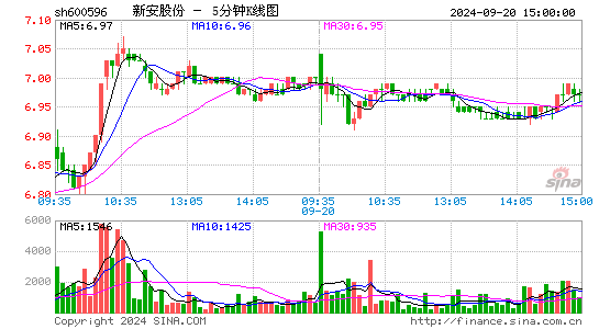 600596新安股份五分K线