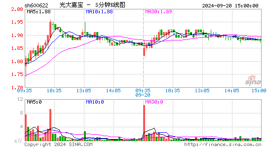600622光大嘉宝五分K线