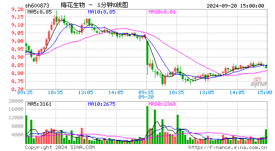 600873梅花生物五分K线