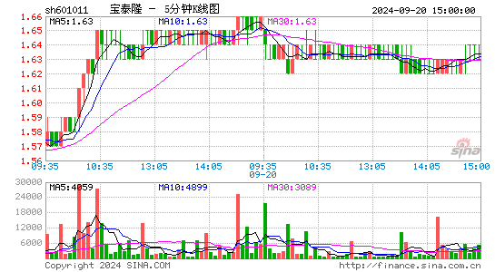 601011宝泰隆五分K线