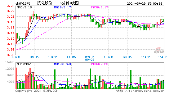 601678滨化股份五分K线