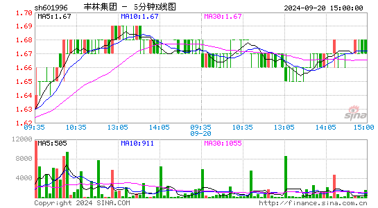 601996丰林集团五分K线
