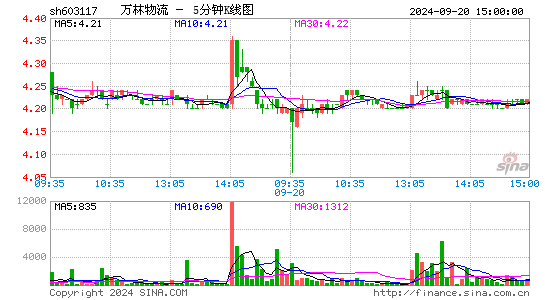 603117ST万林五分K线