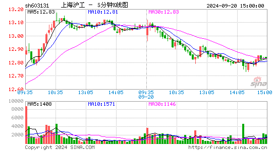 603131上海沪工五分K线