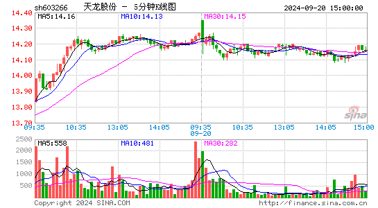 603266天龙股份五分K线