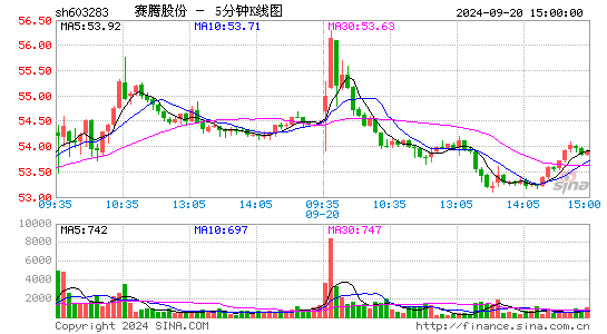 603283赛腾股份五分K线