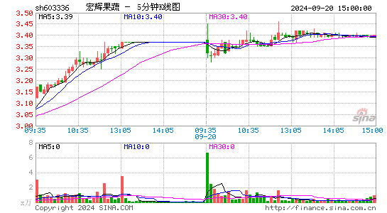 603336宏辉果蔬五分K线