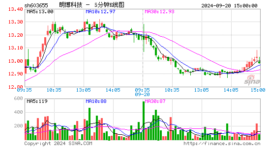 603655朗博科技五分K线