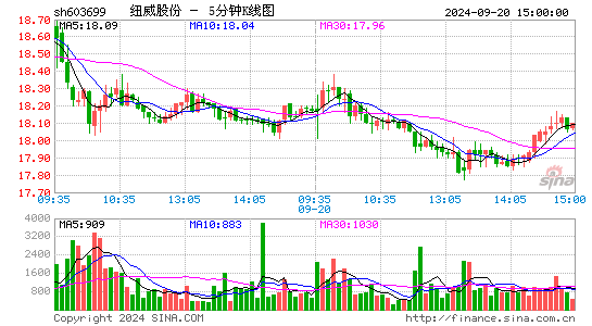 603699纽威股份五分K线