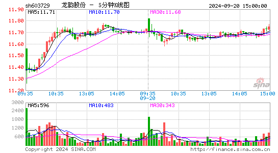 603729龙韵股份五分K线
