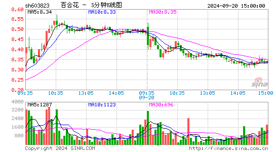 603823百合花五分K线