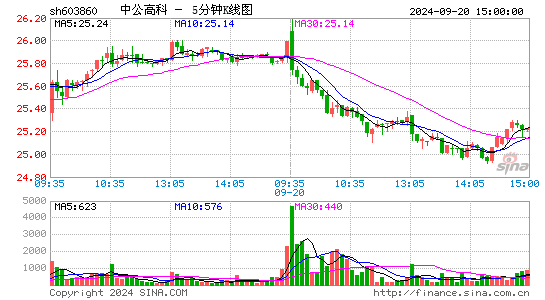 603860中公高科五分K线