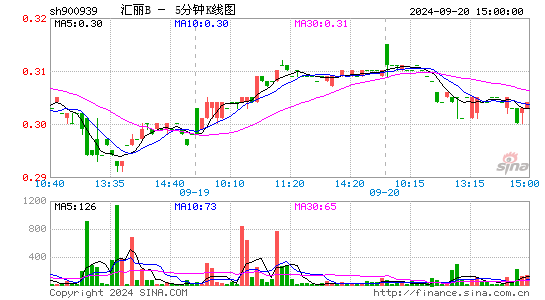 900939汇丽B五分K线