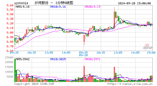 000014沙河股份五分K线