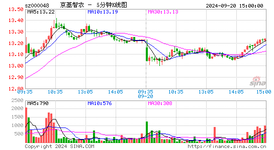 000048京基智农五分K线