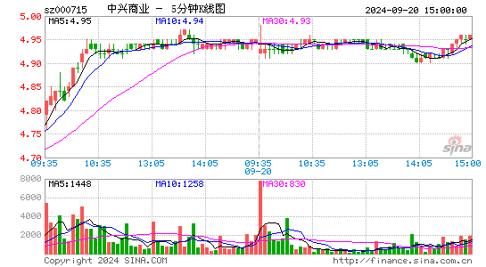 000715中兴商业五分K线