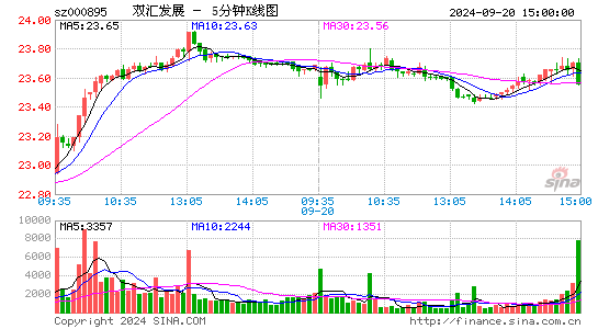 000895双汇发展五分K线