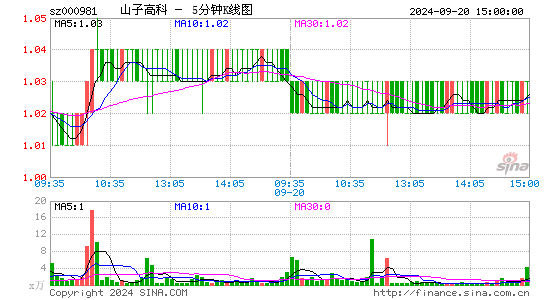 000981山子股份五分K线