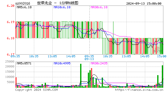 002016世荣兆业五分K线