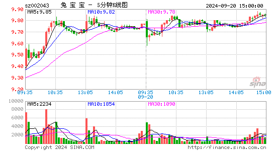002043兔宝宝五分K线