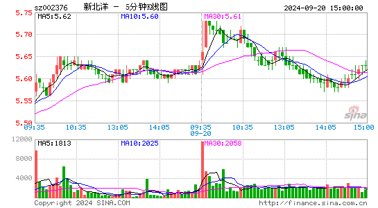 002376新北洋五分K线