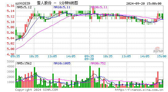 002639雪人股份五分K线