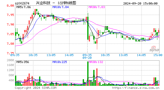 002674兴业科技五分K线