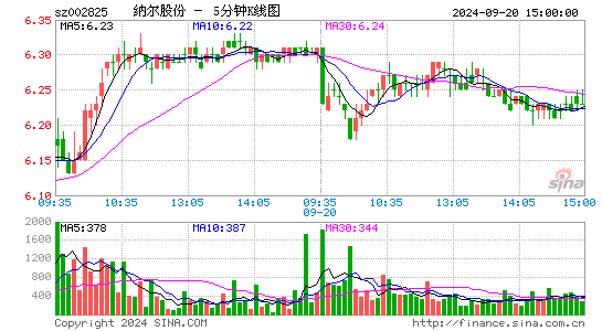 002825纳尔股份五分K线