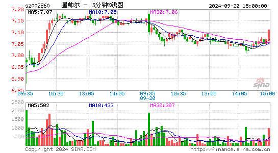 002860星帅尔五分K线