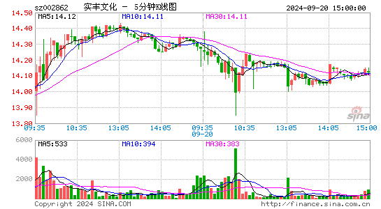 002862实丰文化五分K线