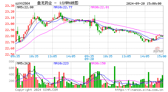 002864盘龙药业五分K线