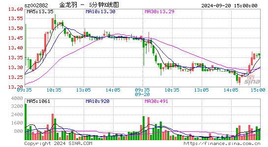 002882金龙羽五分K线