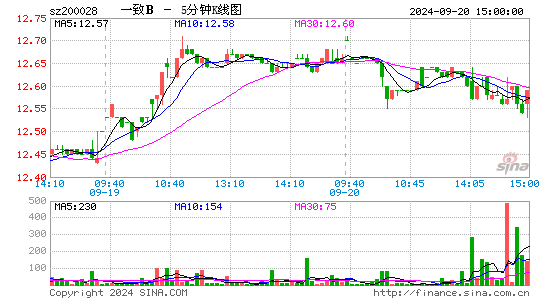 200028一致B五分K线