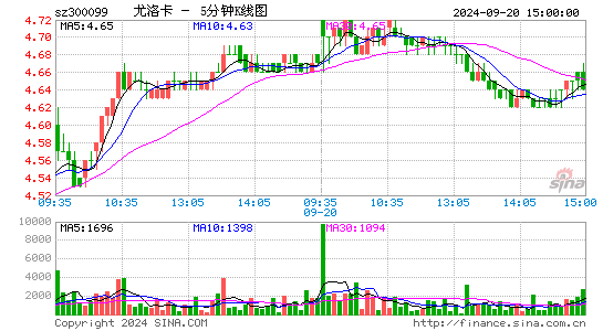 300099精准信息五分K线