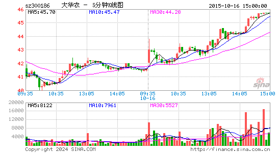 300186大华农五分K线