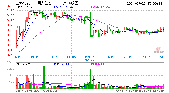 300321同大股份五分K线